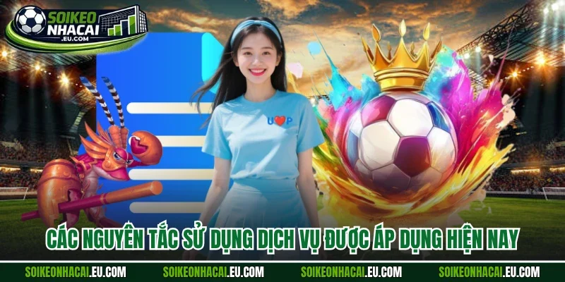 Các nguyên tắc sử dụng dịch vụ được áp dụng hiện nay
