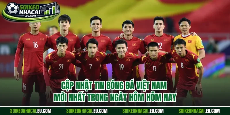 Bóng đá Việt Nam