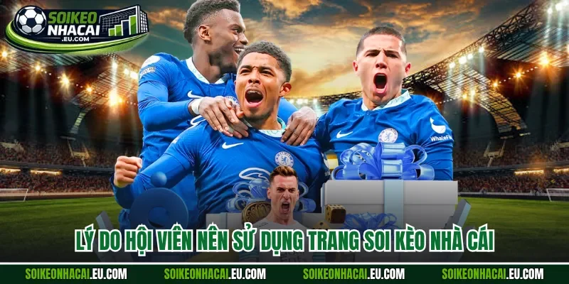 Lý do hội viên nên sử dụng trang soi kèo nhà cái uy tín