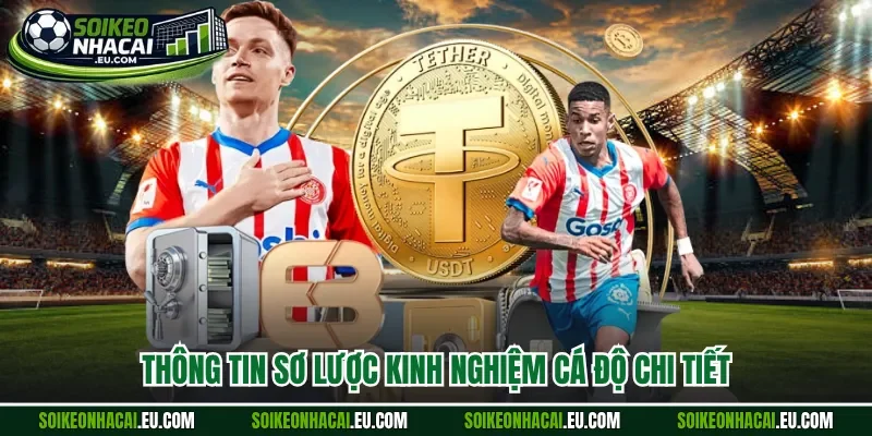 Thông tin sơ lược kinh nghiệm cá độ chi tiết