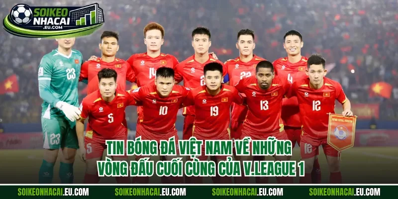 Tin bóng đá Việt Nam về những vòng đấu cuối cùng của V.League 1