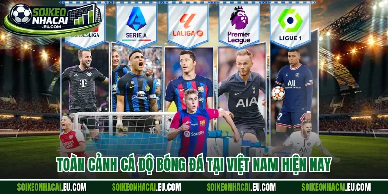 Toàn cảnh cá độ bóng đá tại Việt Nam hiện nay 