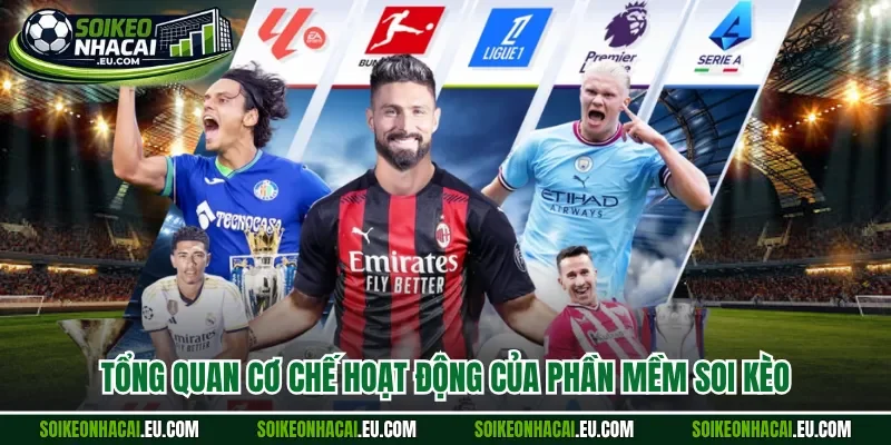 Tổng quan cơ chế hoạt động của phần mềm soi kèo