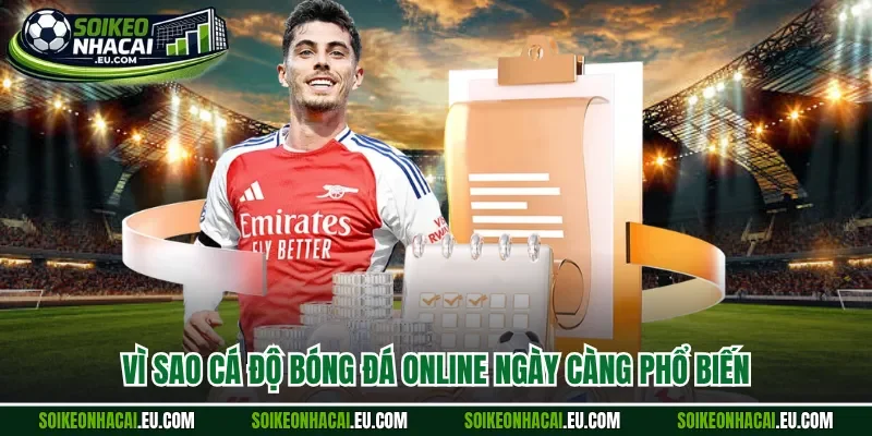 Vì sao cá độ bóng đá online ngày càng phổ biến