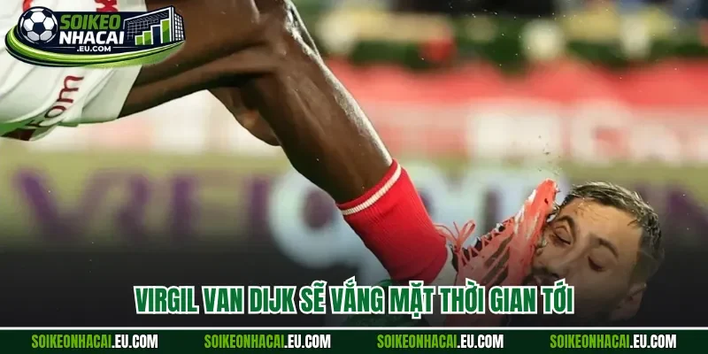 Virgil van Dijk sẽ vắng mặt thời gian tới